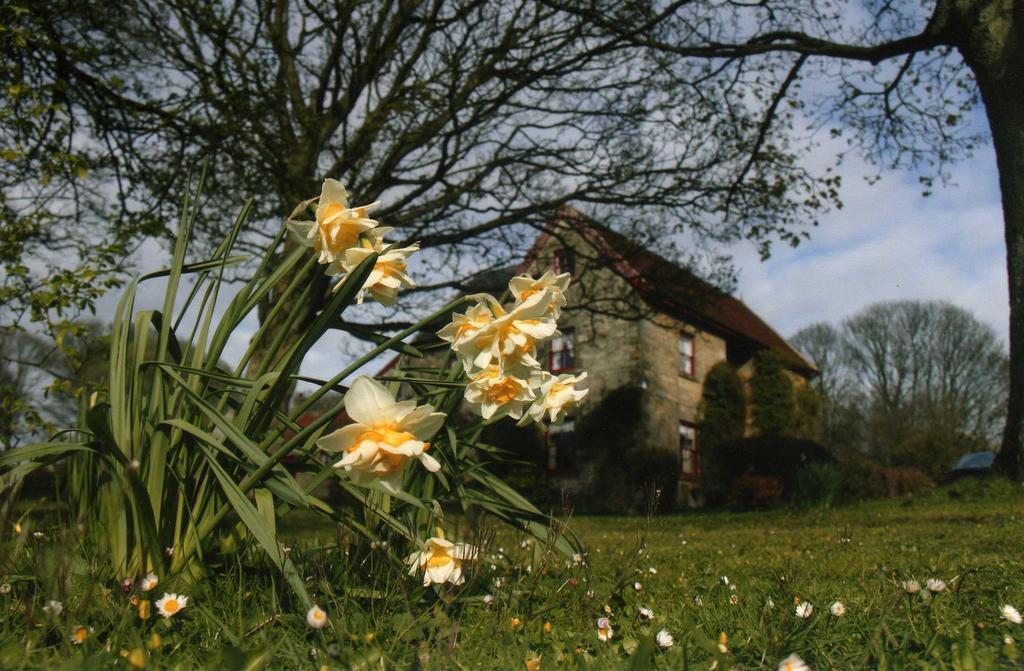High Farm B&B พิกเคอริง ภายนอก รูปภาพ